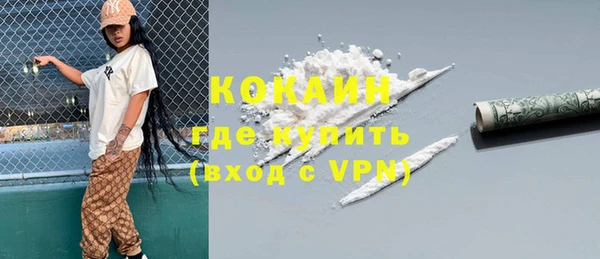 гашик Алексин