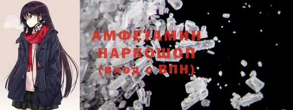 гашик Алексин