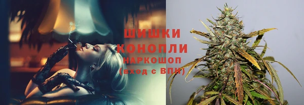 гашик Алексин