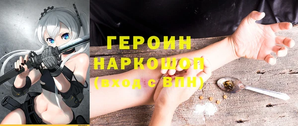 гашик Алексин