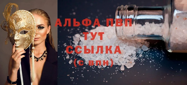 гашик Алексин