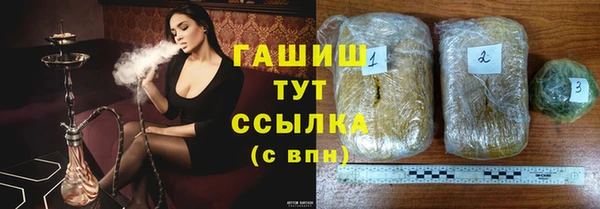 гашик Алексин