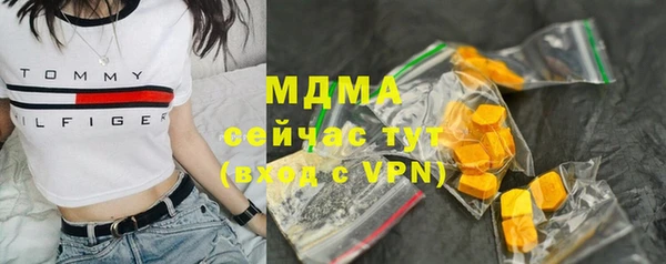 гашик Алексин