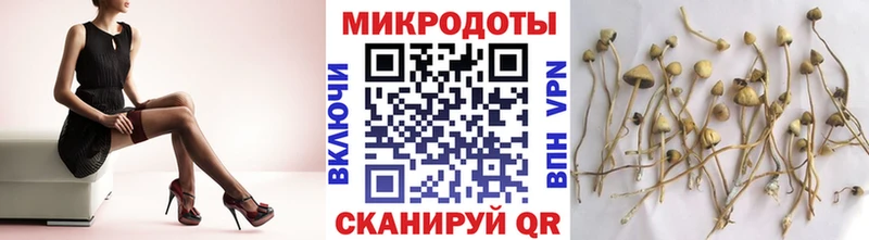 Псилоцибиновые грибы Cubensis  ссылка на мегу ССЫЛКА  Снежногорск 